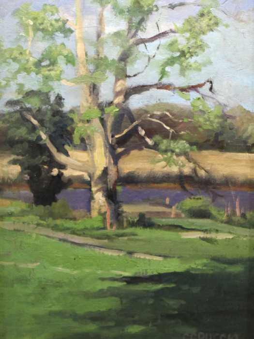 Pepperidge-Tree-Oil-800