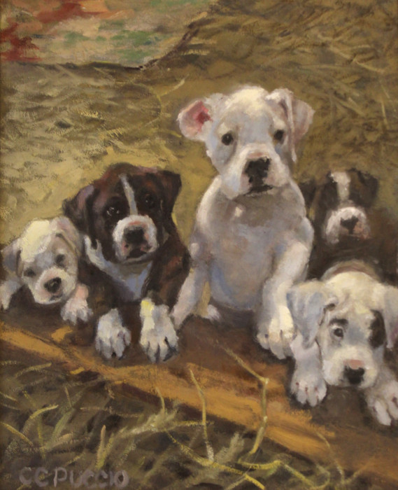 Puppy-Love-Oil-800