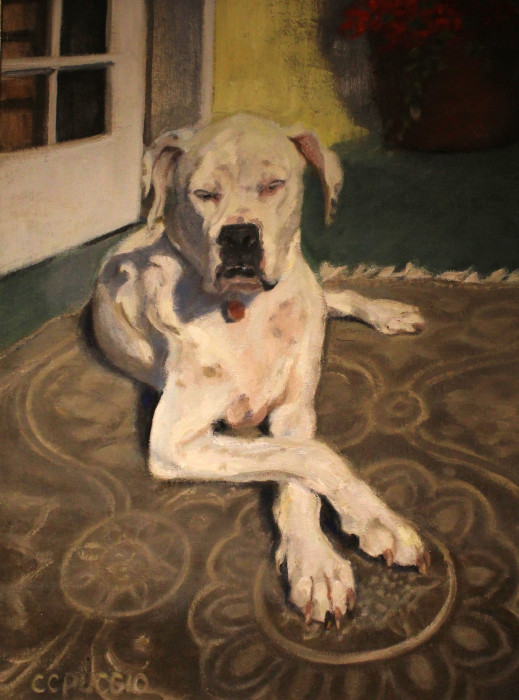 Sun-Worshipper-Oil-900