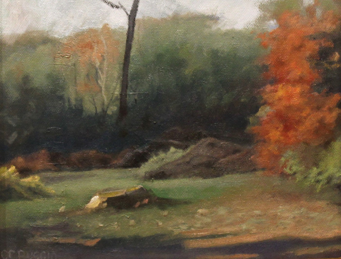 Sunlit-Tree-Stump-Oil-800