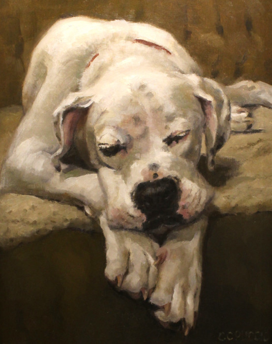 Sweet-Dreams-Oil-NFS