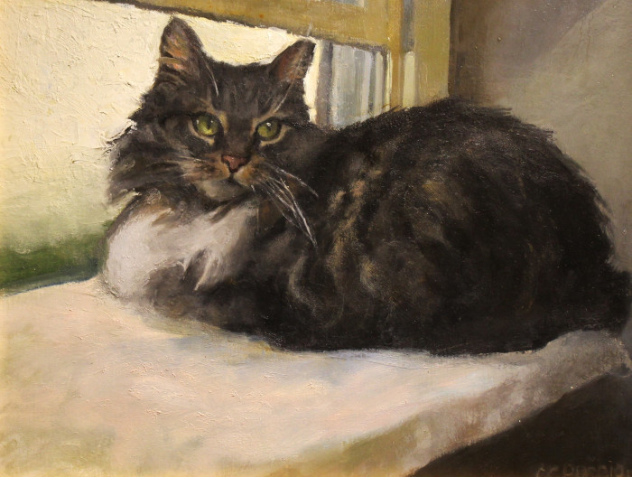 Vets-Cat-Oil-850