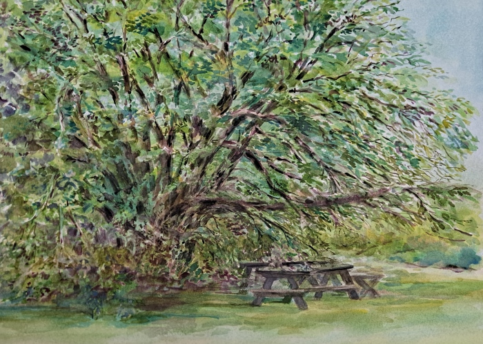 Christine  Anderson, "Mull Berry", watercolor, 12x16, $300