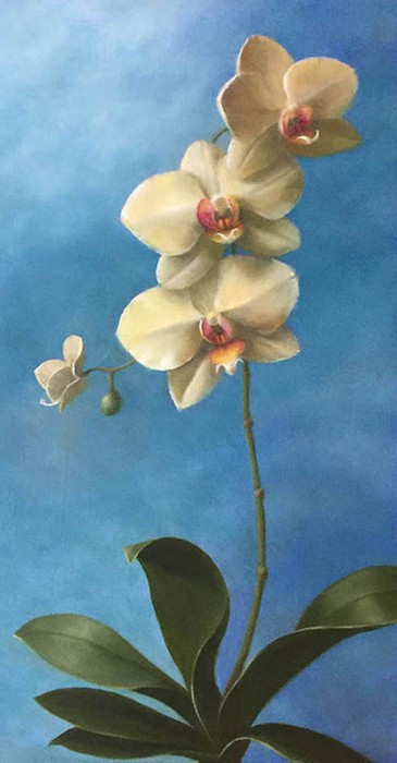 Patt Baldino, "Heaven Sent Orchid", oil, 24x12, $2,800