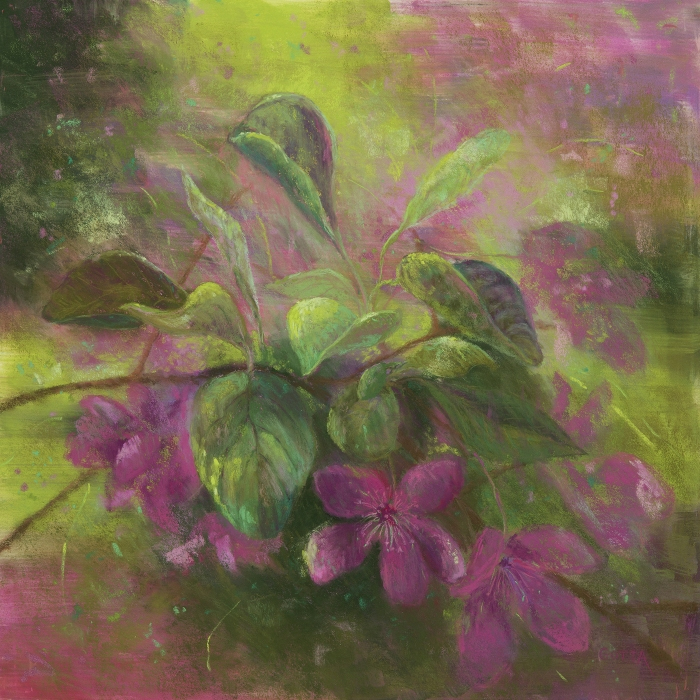 Linda Gotta, "Blossoming", pastel, 14x14, $500