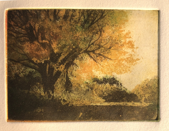 Nina Ritson, "Tree on Day Street", Etching, 2x3, Sold