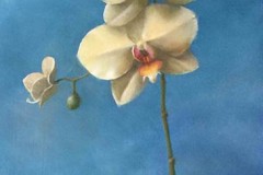 Patt Baldino, "Heaven Sent Orchid", oil, 24x12, $2,800
