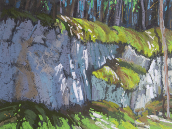 Aitcheson, Susan, "Woodland 18", Pastel, $500, 9 x 12
