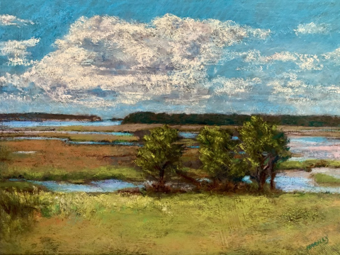 Theresa Hartley, "Wellfleet Marsh", Pastel, $650, 11 x 16