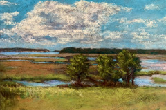 Theresa Hartley, "Wellfleet Marsh", Pastel, $650, 11 x 16