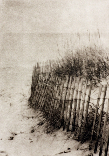 Dunn Beach Grasses photopolymer etching