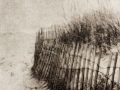 Dunn Beach Grasses photopolymer etching