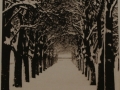 Dunn Boston Snow photopolymer etching