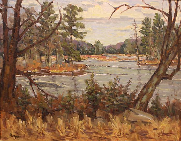 Rogan Michael frozen pond with pines