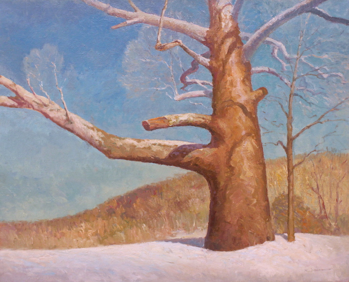 Rick Daskam , "Big Sycamore in the Snow", oil, 24x20, $4,200