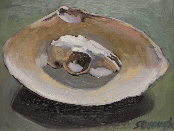 Sara Drought Nebel, "Skull & Shell", oil. 8x10, $500
