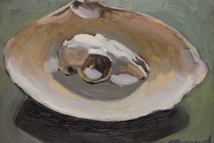 Sara Drought Nebel, "Skull & Shell", oil. 8x10, $500