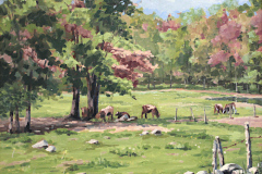 Sonstrom-Bill-Spring-Pastures-Somers