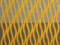 Holub Will-Blue-Gray-and-Gold