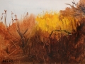 Kaiser Keiko Autumn Gold