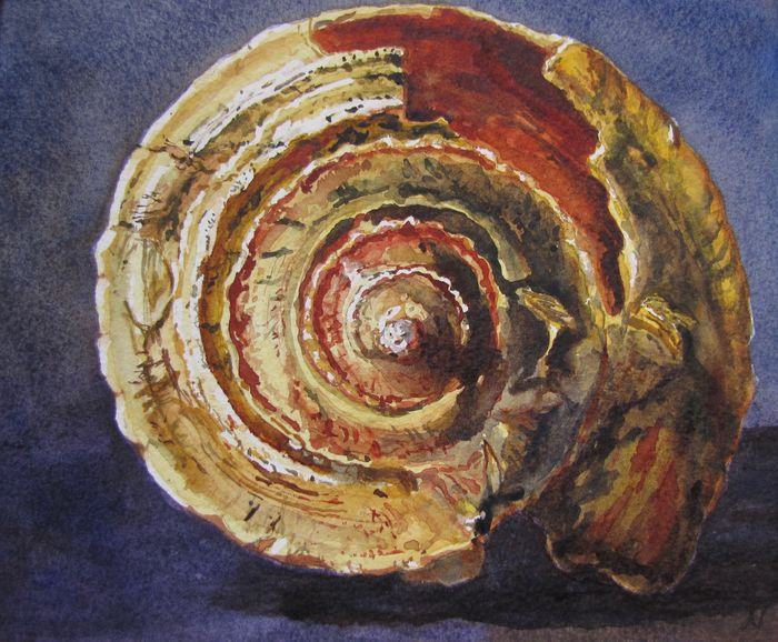 MullanyNancy Mickut  Spiralingwc