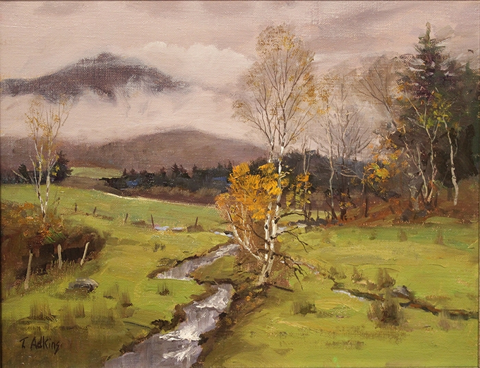 Adkins Thomas Mountain Clouds White Birch