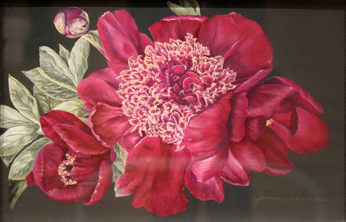 Boone Jim Red Peony
