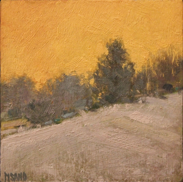 Crista Pisano Light and Snow