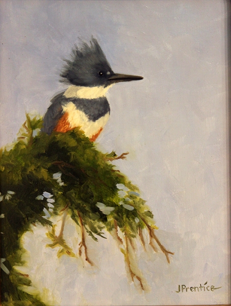 Prentice Jan Belted Kingfisher