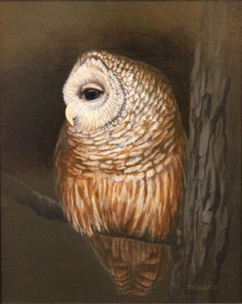 Senack J Elaine Night Owl Barred Owl