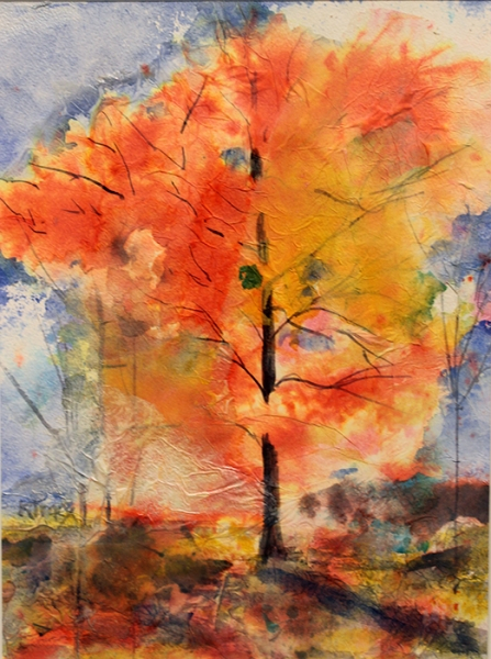 Tracy Kathleen Peak Season