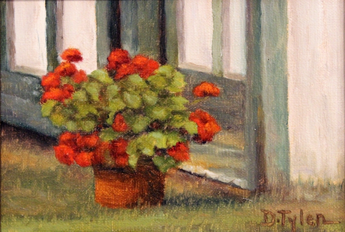 Tyler Dawn Geraniums