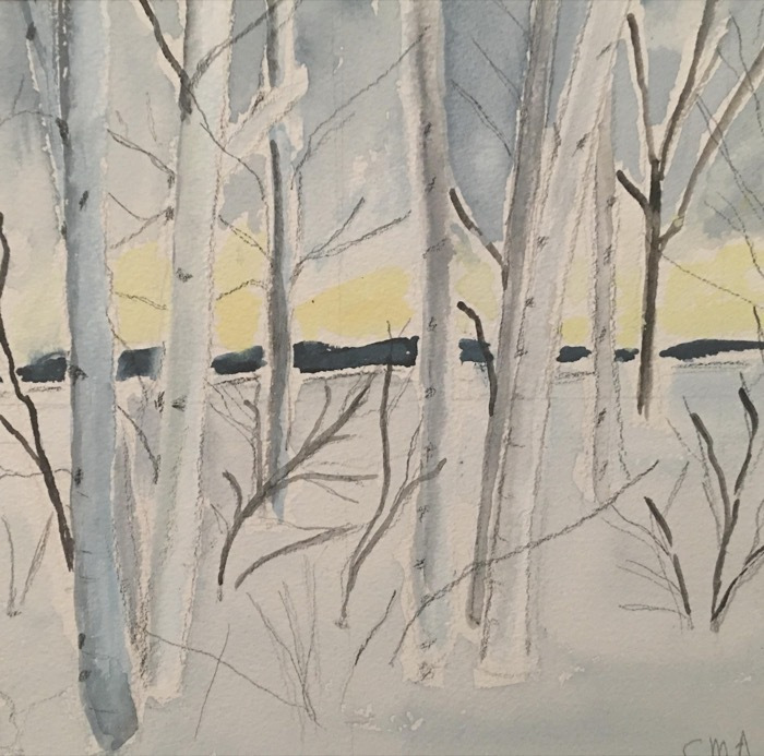 ayarsconstancebircheswatercolor