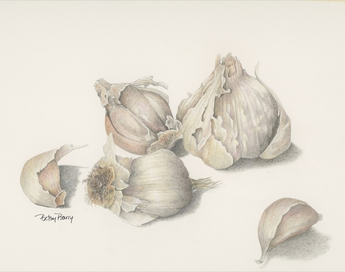 barrybetsygarliccoloredpencil