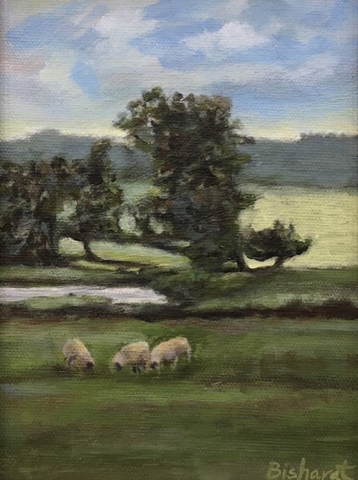 bisharatdawnsoftlygrazingacrylic