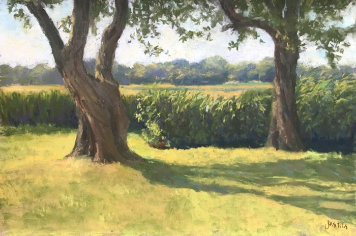 jositassusantreesbythemarshpastel