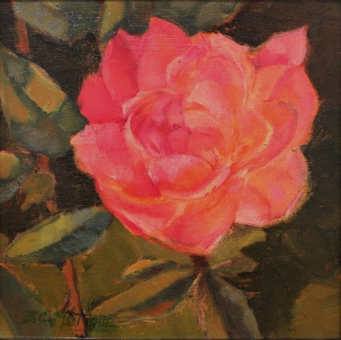 mctiguebcsittingprettyoil