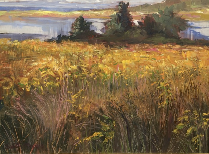 meyersjudithseaofgoldoil