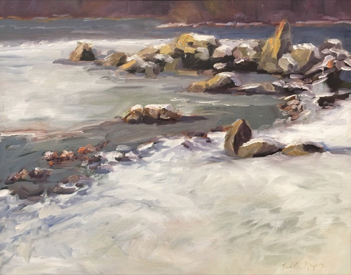 meyersjudithsentinelsoil