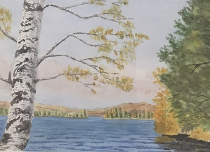 mooredavidfallinadirondackparkwatercolor