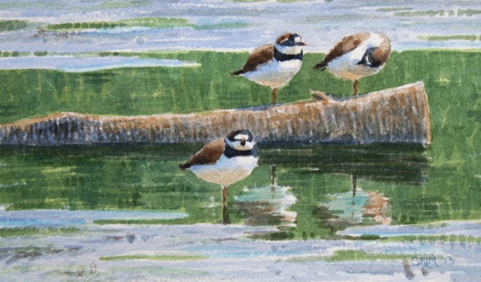 murthaseanthreeofakindwatercolor