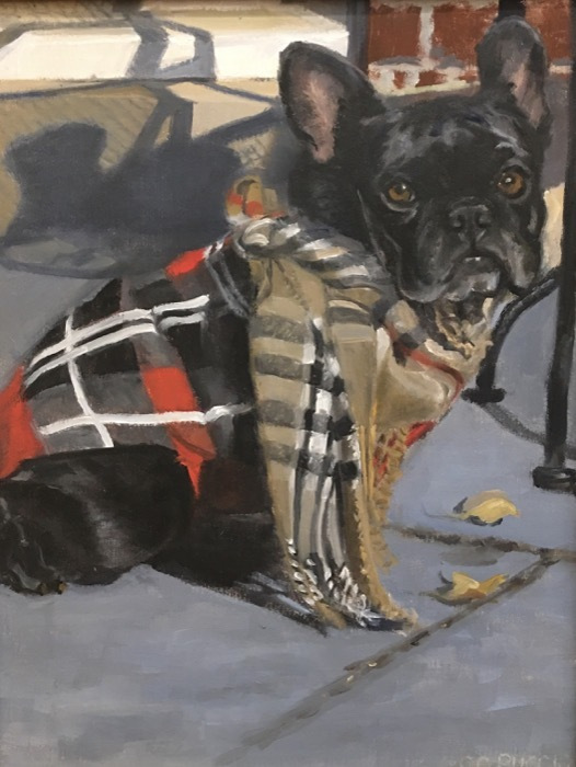 pucciocatherineburberrybulldogoil