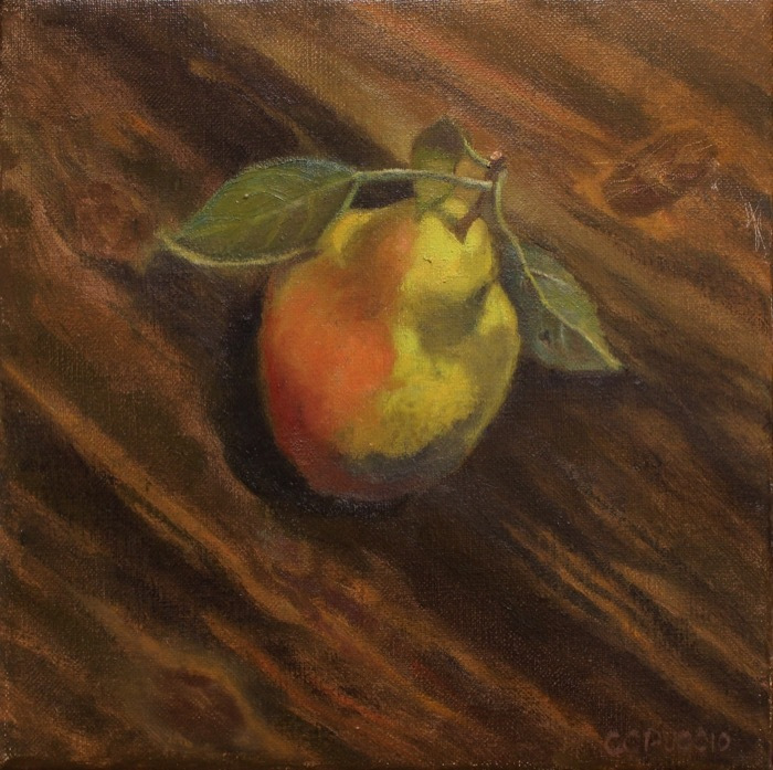 pucciocatherinepearoil