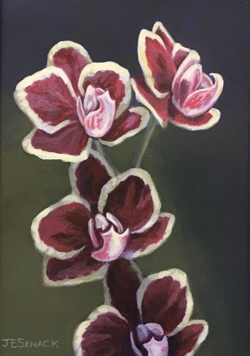 senackjelaineminiorchidsacrylic