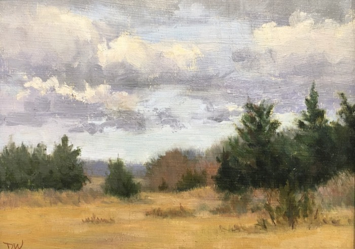 wellsdinahedgeofmarshoil
