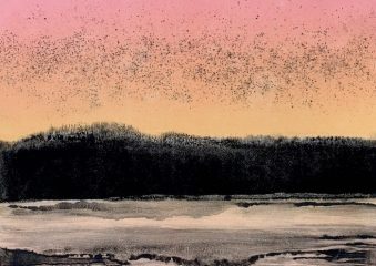 Kathleen DeMeo, "Swallows Over Goose Island", monotype, 16x20, $450