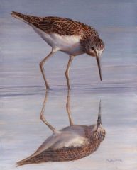 Mally DeSomma, "Mirror Mirror", oil, 13x15, $495