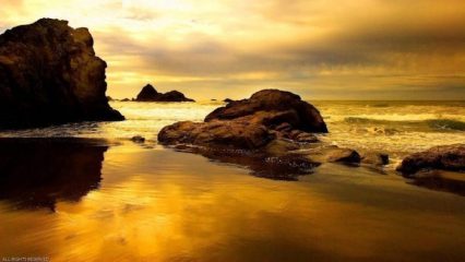 Lois Lawrence, "Golden Shoreline", acrylic, 9x12, $400