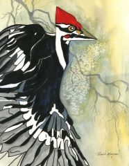 Pamela Morgan, "Pileated ", watercolor, 10x8, $540
