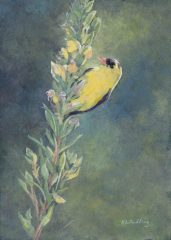 Kelly Radding, "Glow", casein, 7x5, $700